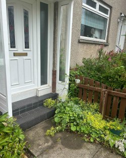 Granite Steps Glasgow by Step by Step Granite